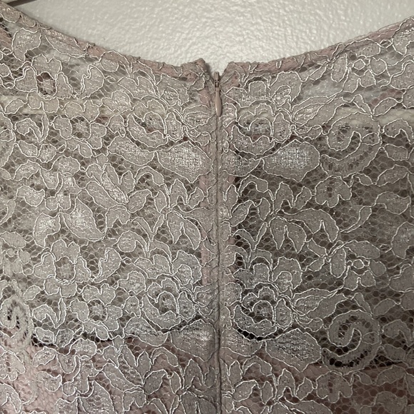 Adrienna Pappell Lace Dress Sz 18W NWT Color Icy Lilac gray very pretty holiday - Picture 8 of 17